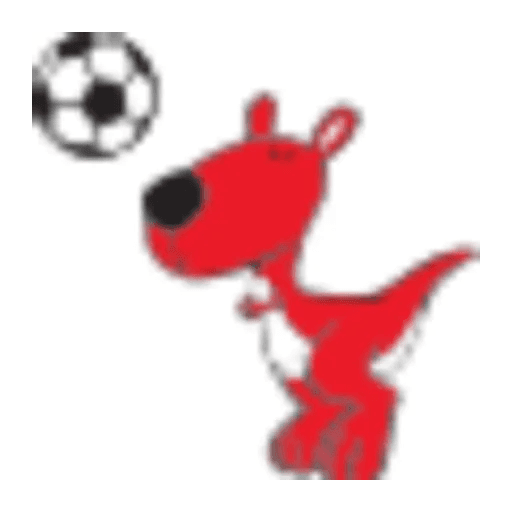 Kangaroo Team