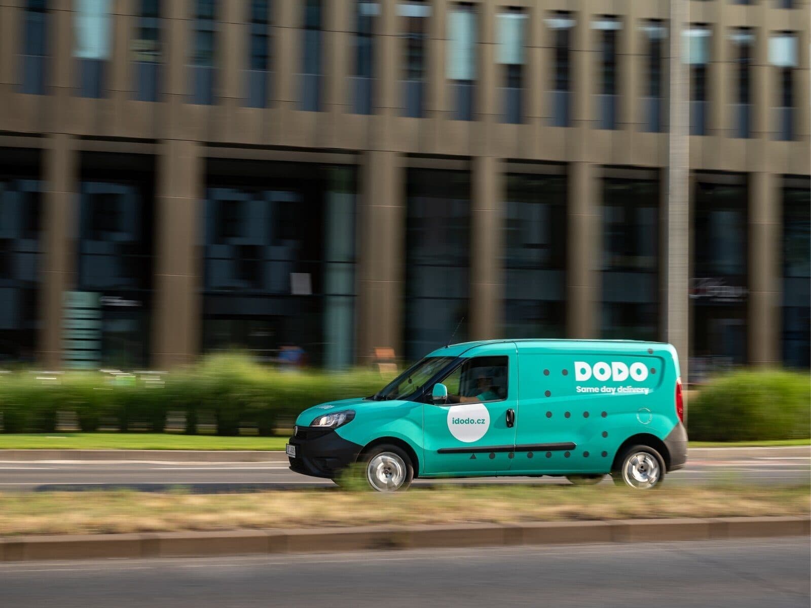 DoDo